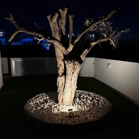 Theo Luxury Napa Ayia Napa